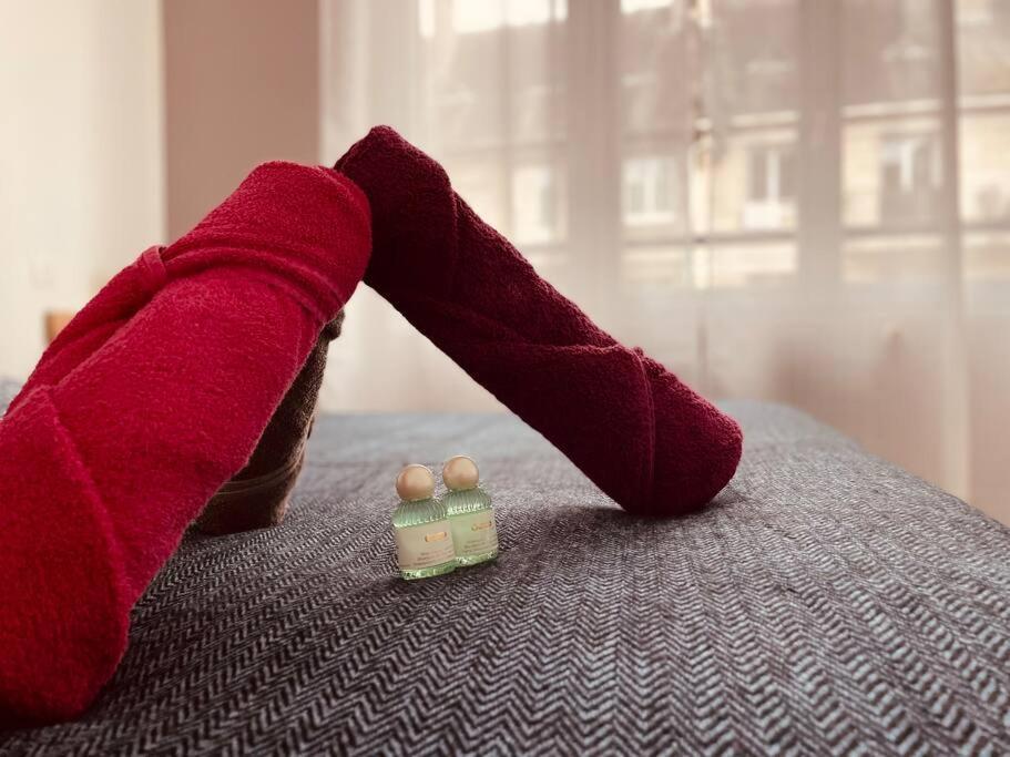 רואן L'Appartement Lafayette Rive Gauche מראה חיצוני תמונה